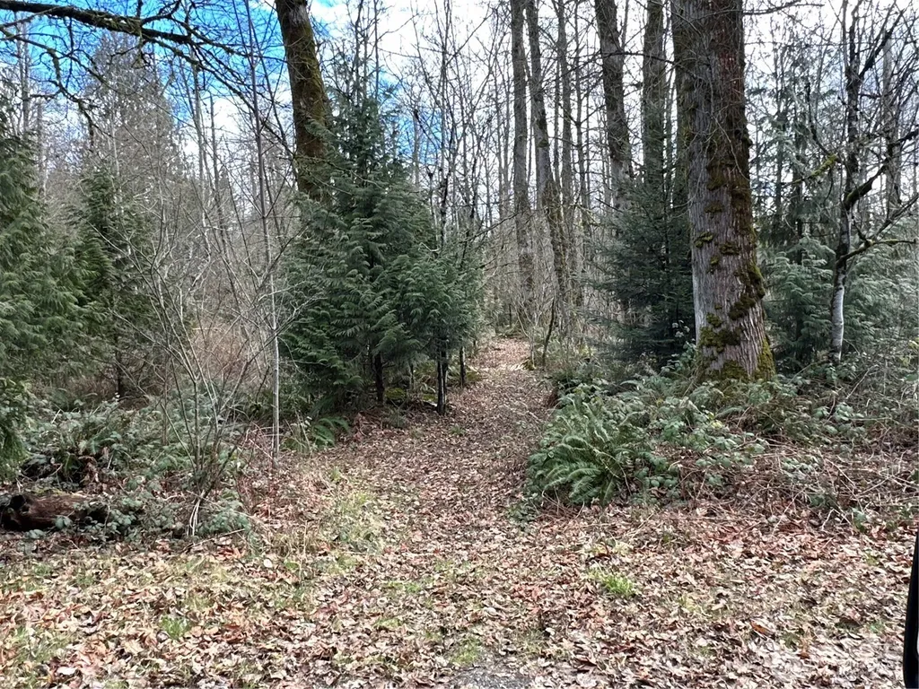 22 212th Avenue SE Maple Valley WA 98038