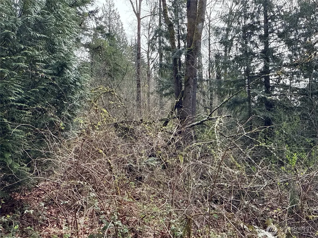 22 212th Avenue SE Maple Valley WA 98038