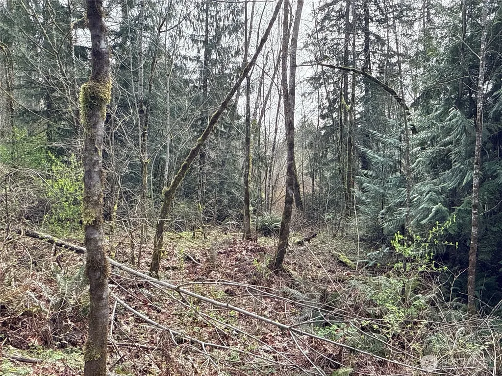 22 212th Avenue SE Maple Valley WA 98038