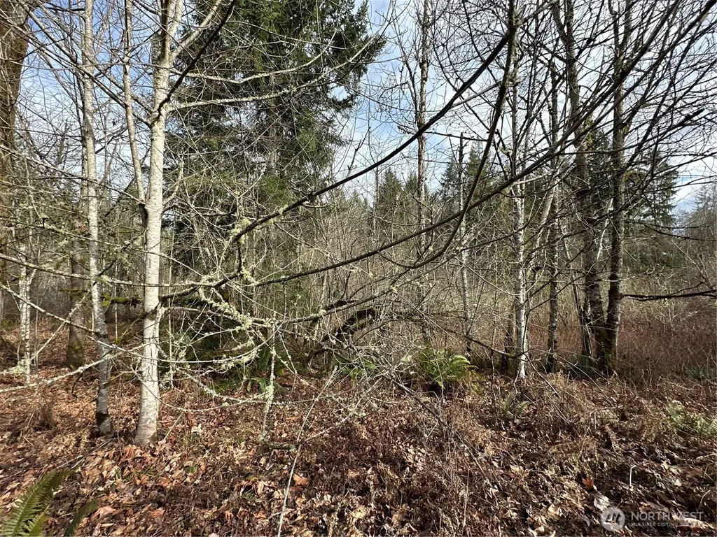 22 212th Avenue SE Maple Valley WA 98038