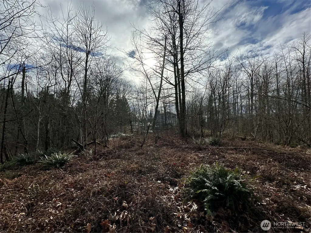 22 212th Avenue SE Maple Valley WA 98038