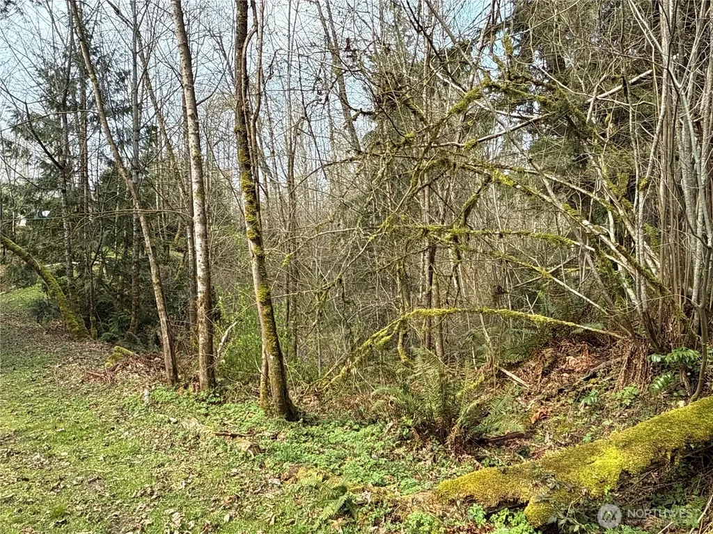 22 212th Avenue SE Maple Valley WA 98038