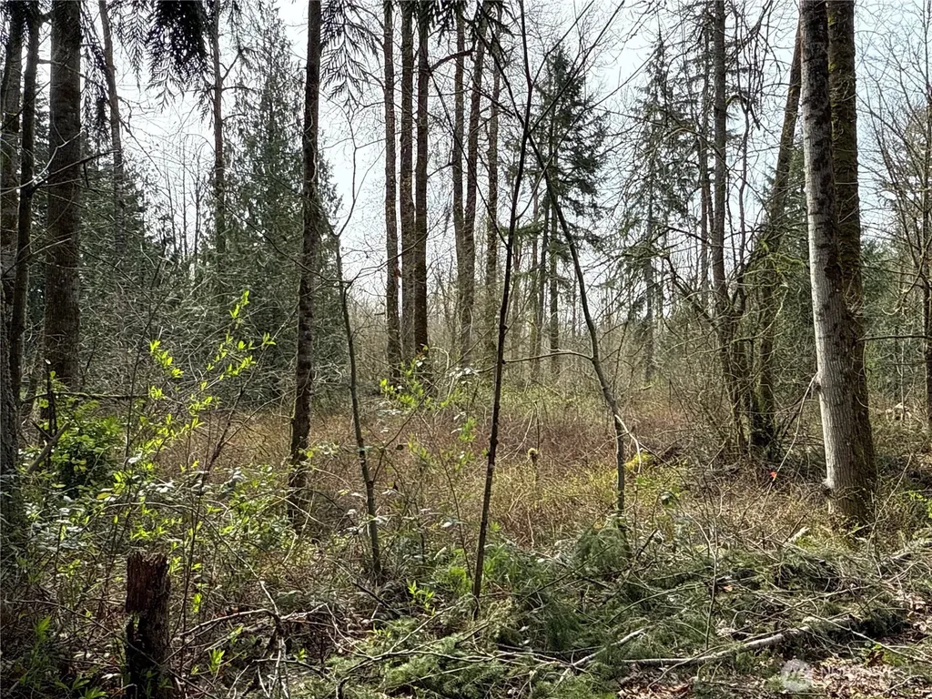 22 212th Avenue SE Maple Valley WA 98038