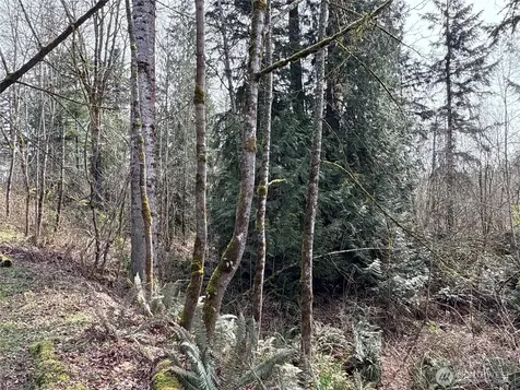 22 212th Avenue SE Maple Valley WA 98038