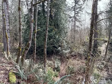 22 212th Avenue SE Maple Valley WA 98038