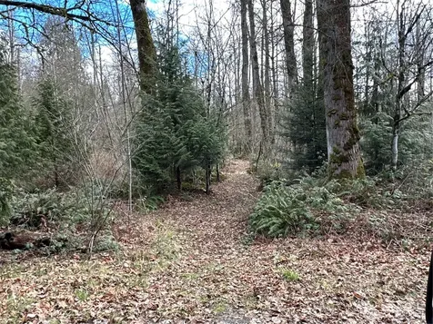 22 212th Avenue SE Maple Valley WA 98038