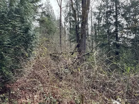 22 212th Avenue SE Maple Valley WA 98038