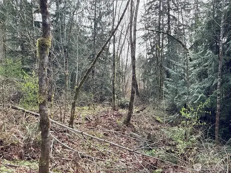 22 212th Avenue SE Maple Valley WA 98038