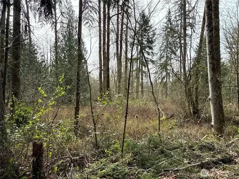 22 212th Avenue SE Maple Valley WA 98038