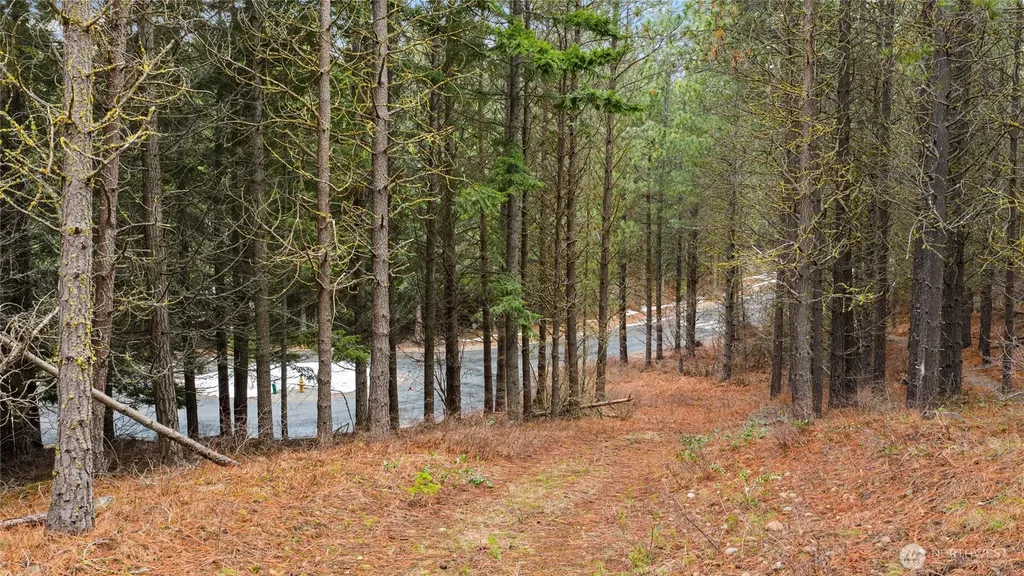 191 White Star Lane Cle Elum WA 98922