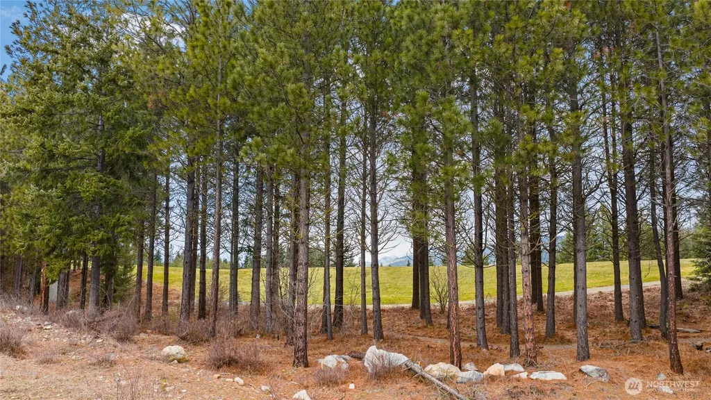 191 White Star Lane Cle Elum WA 98922