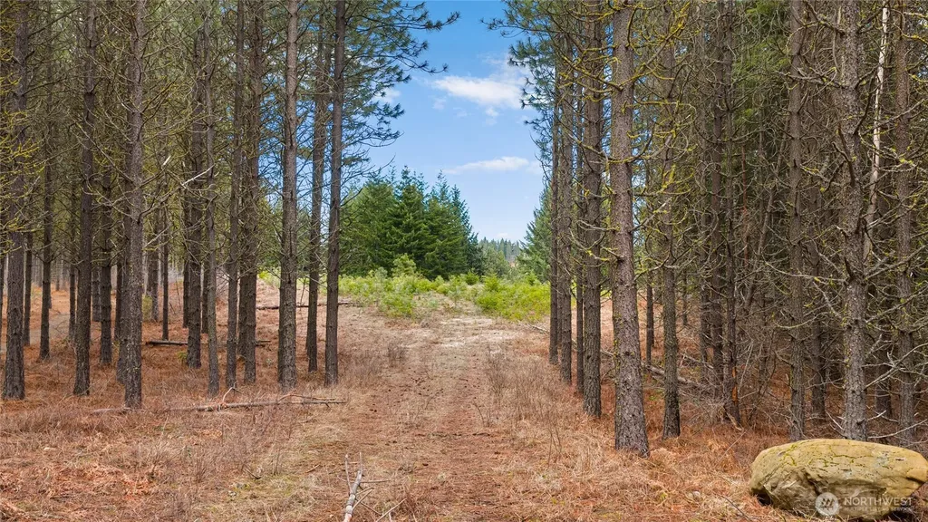 191 White Star Lane Cle Elum WA 98922