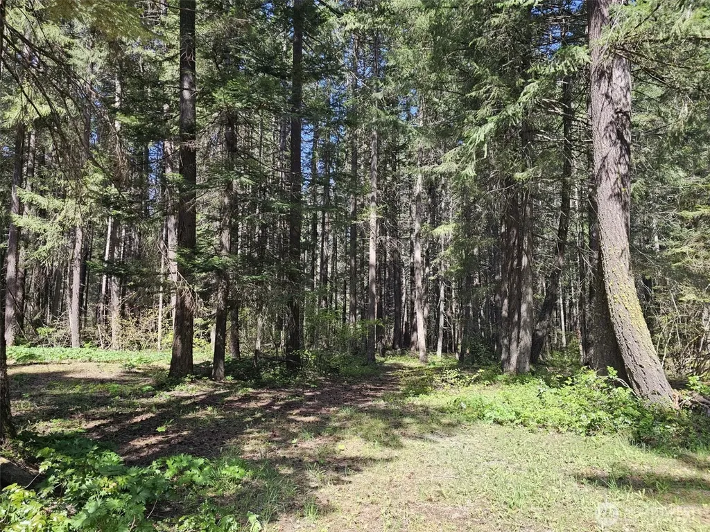 551 Pioneer Trail Cle Elum WA 98922
