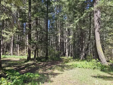 551 Pioneer Trail Cle Elum WA 98922