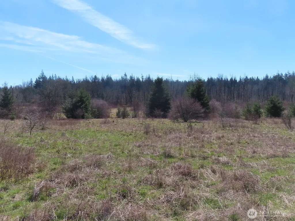 107 Avery Road Napavine WA 98565