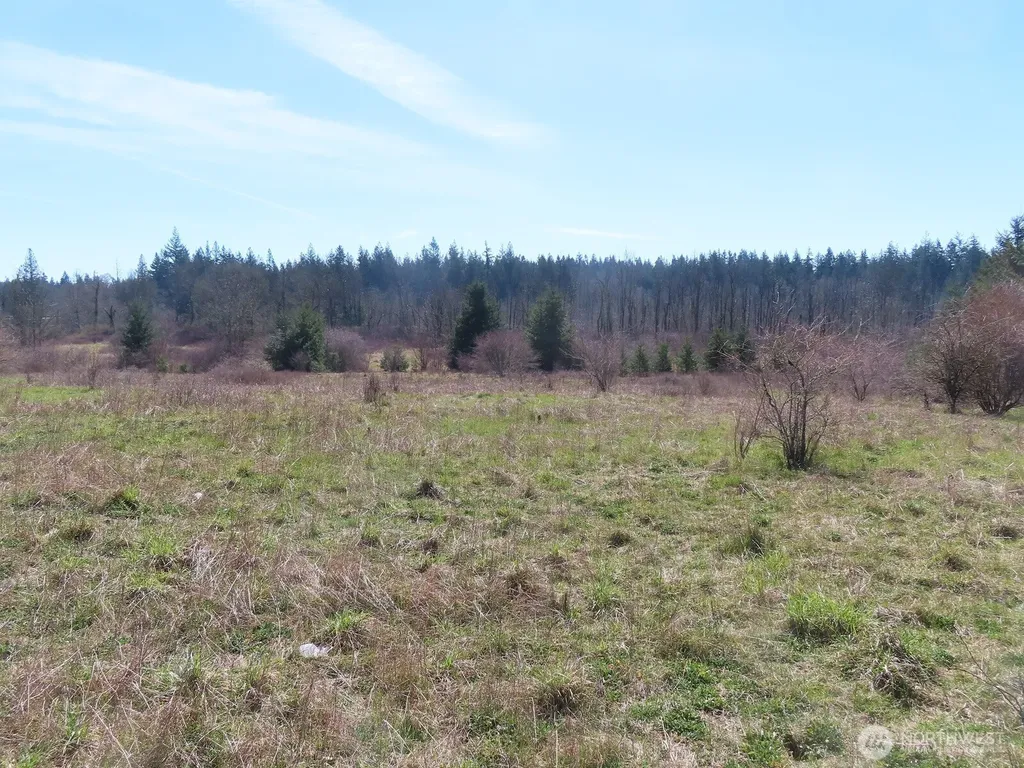 107 Avery Road Napavine WA 98565