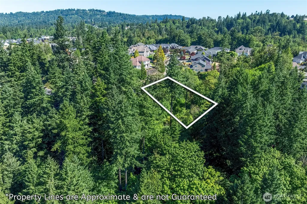 14 Forest Hill Estate Longview WA 98632