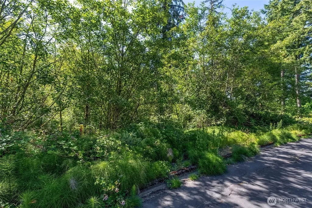14 Forest Hill Estate Longview WA 98632