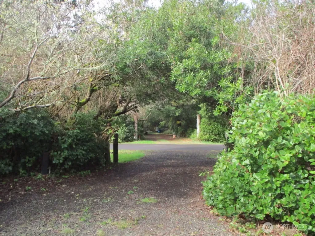 160 S Port Loop SW Ocean Shores WA 98569