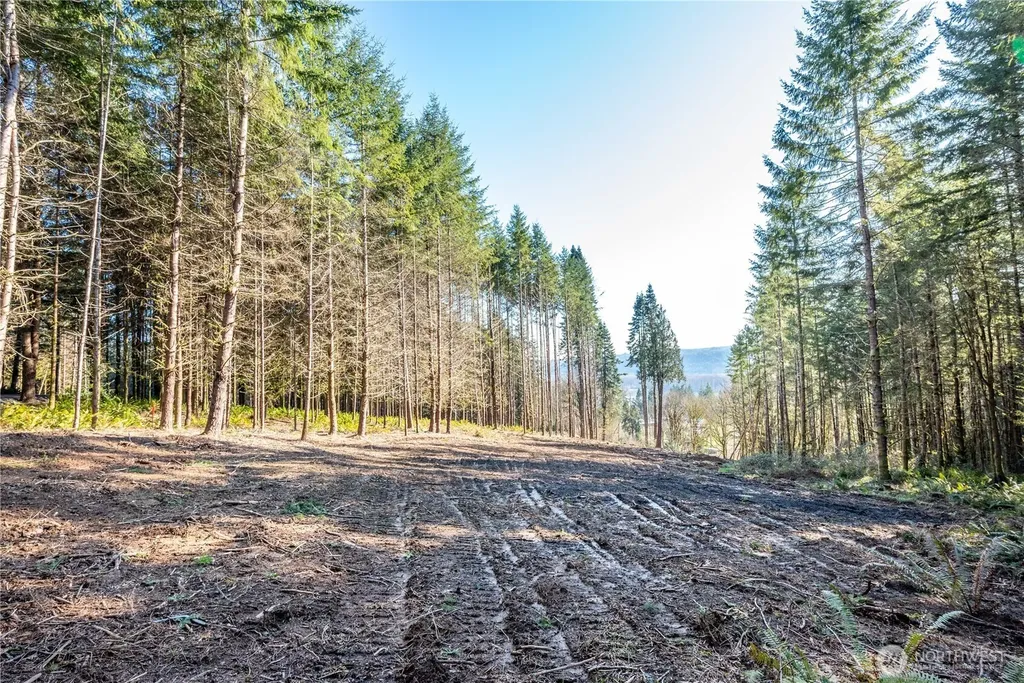 0 Bunker Hill Road Longview WA 98632