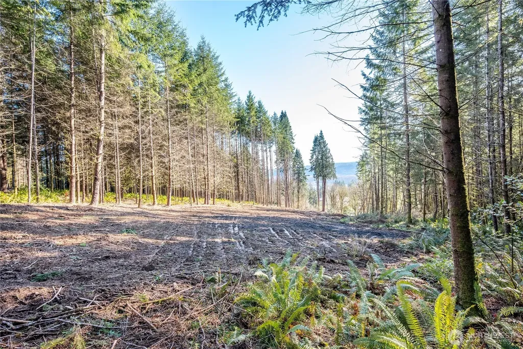 0 Bunker Hill Road Longview WA 98632