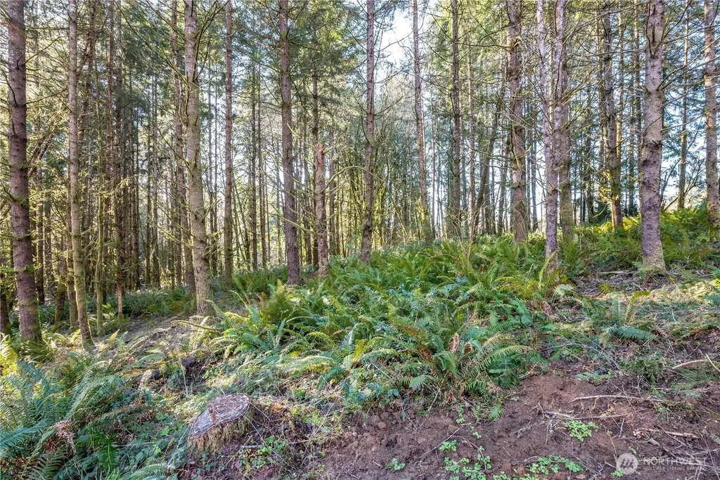 0 Bunker Hill Road Longview WA 98632