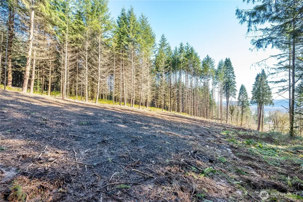 0 Bunker Hill Road Longview WA 98632
