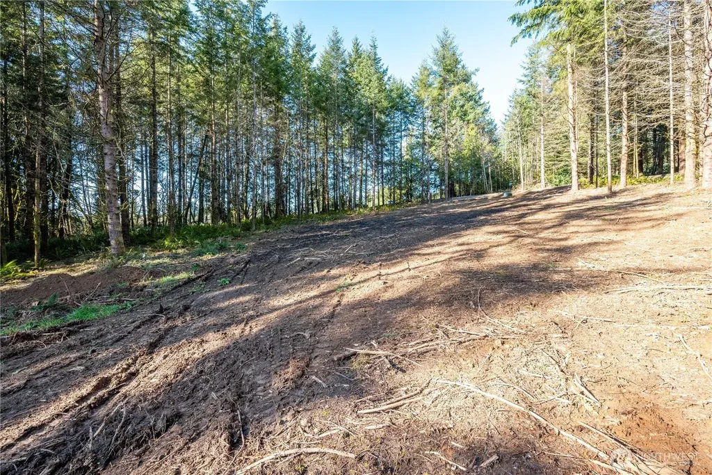 0 Bunker Hill Road Longview WA 98632