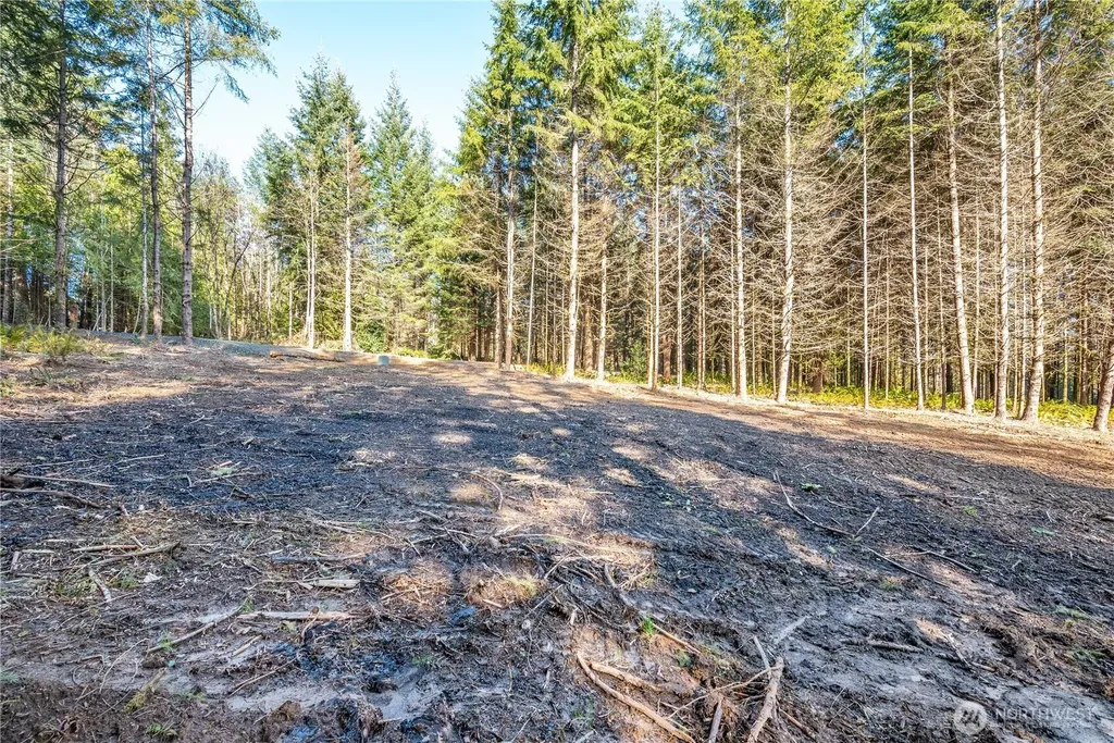 0 Bunker Hill Road Longview WA 98632