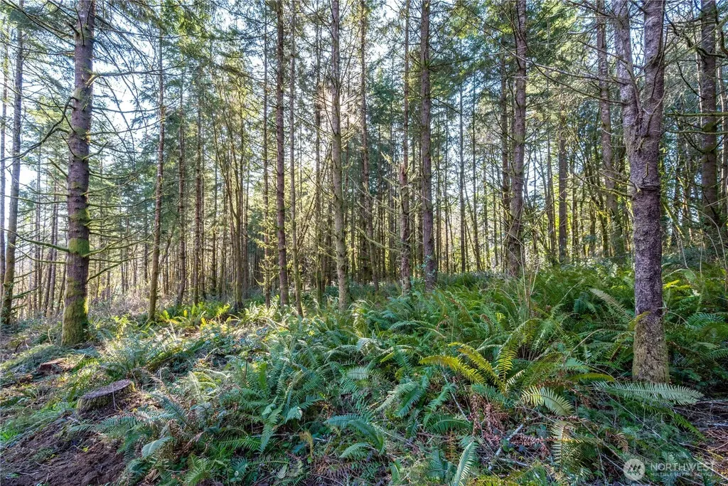 0 Bunker Hill Road Longview WA 98632