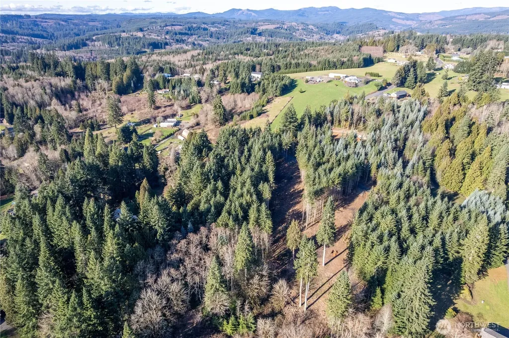 0 Bunker Hill Road Longview WA 98632