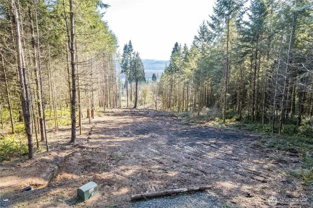 0 Bunker Hill Road Longview WA 98632