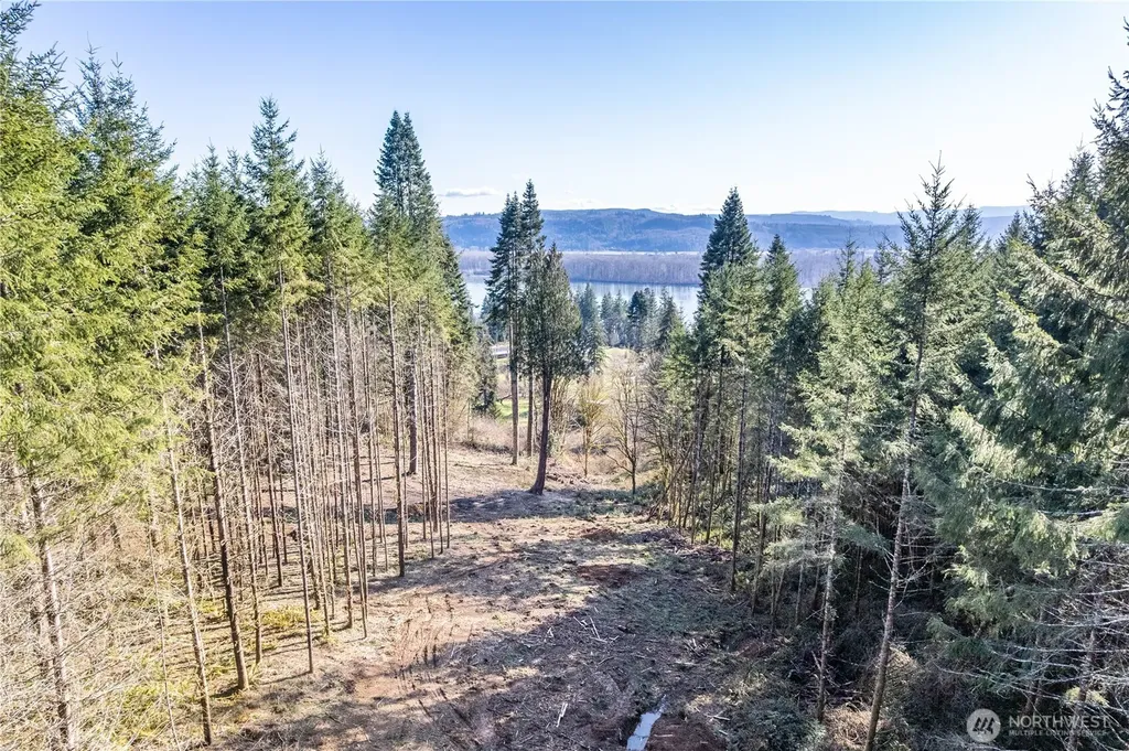 0 Bunker Hill Road Longview WA 98632
