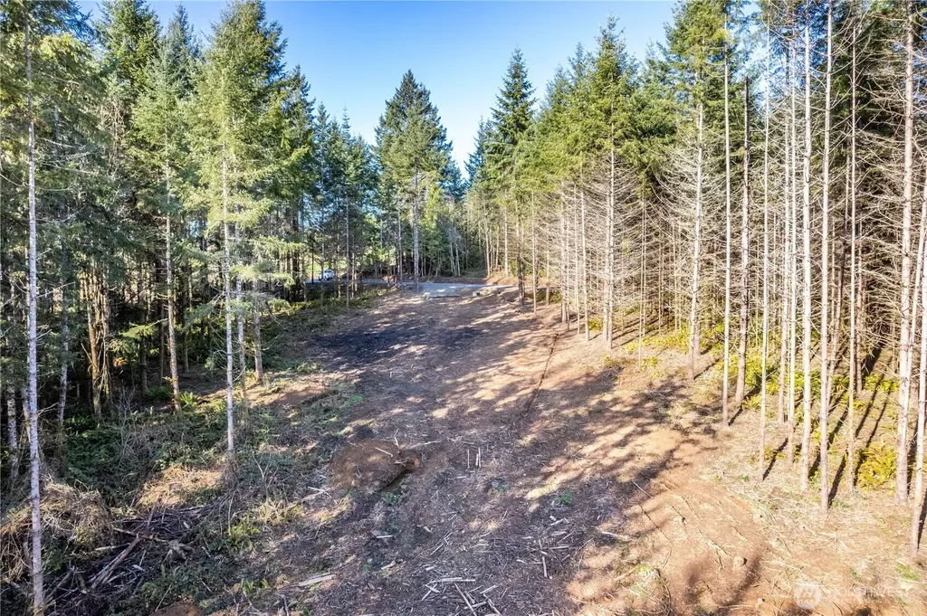 0 Bunker Hill Road Longview WA 98632
