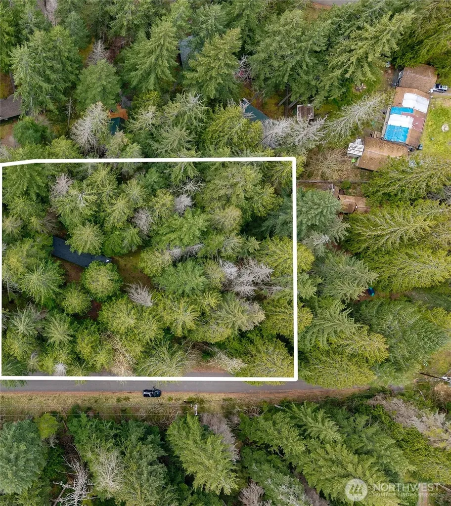 56514 383rd Avenue Ct E Ashford WA 98304