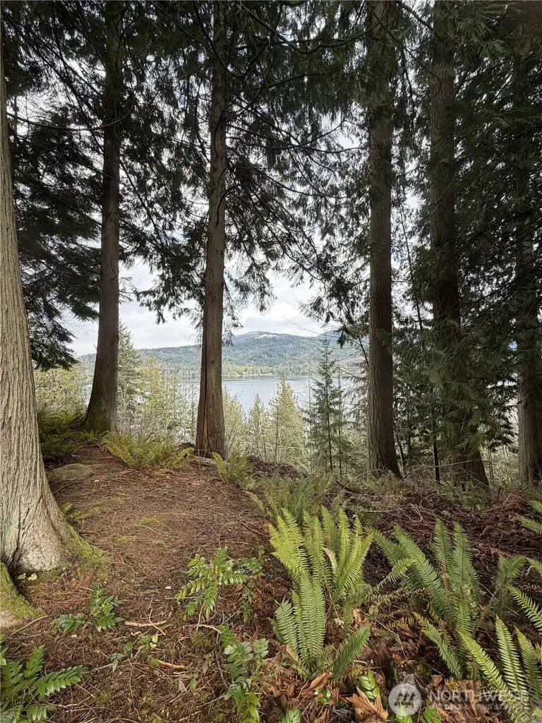 11 Autumn Vista Place Bellingham WA 98229