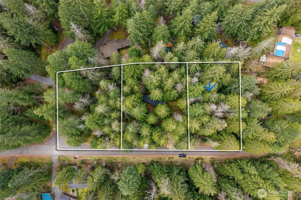 56510 383rd Avenue Ct E Ashford WA 98304