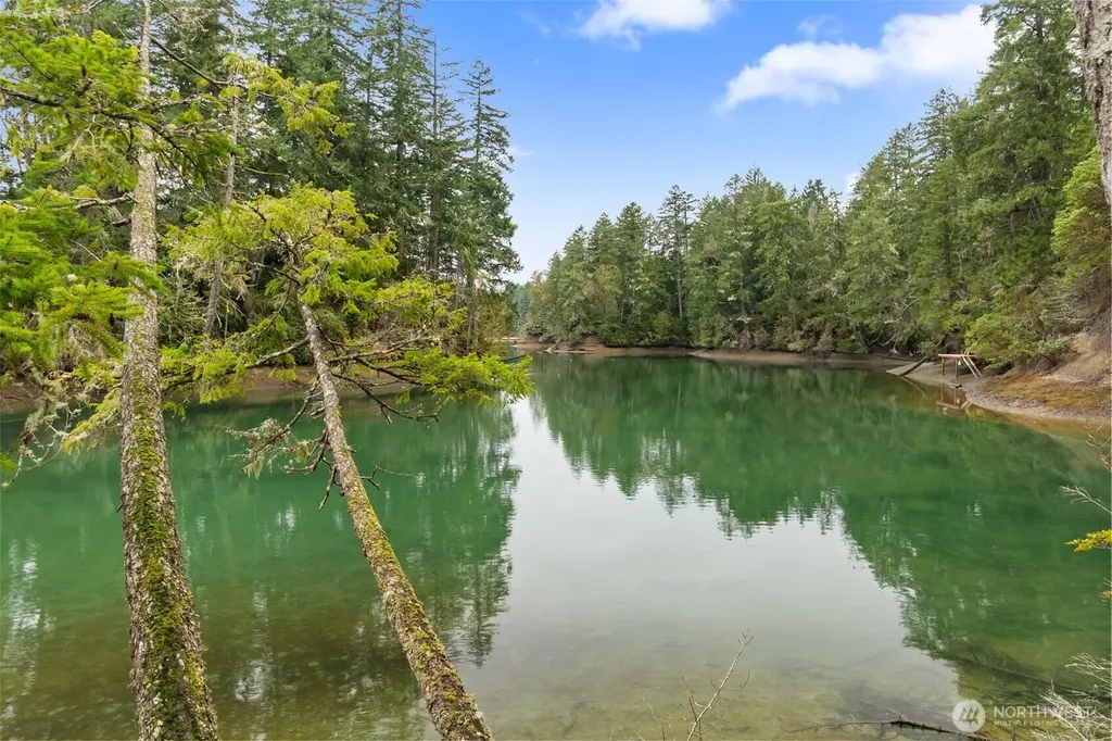 2832 Fishtrap Loop NE Olympia WA 98506