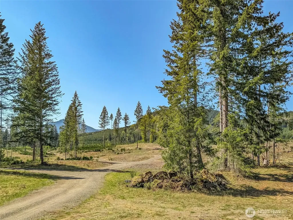 0 Craig Road Packwood WA 98361
