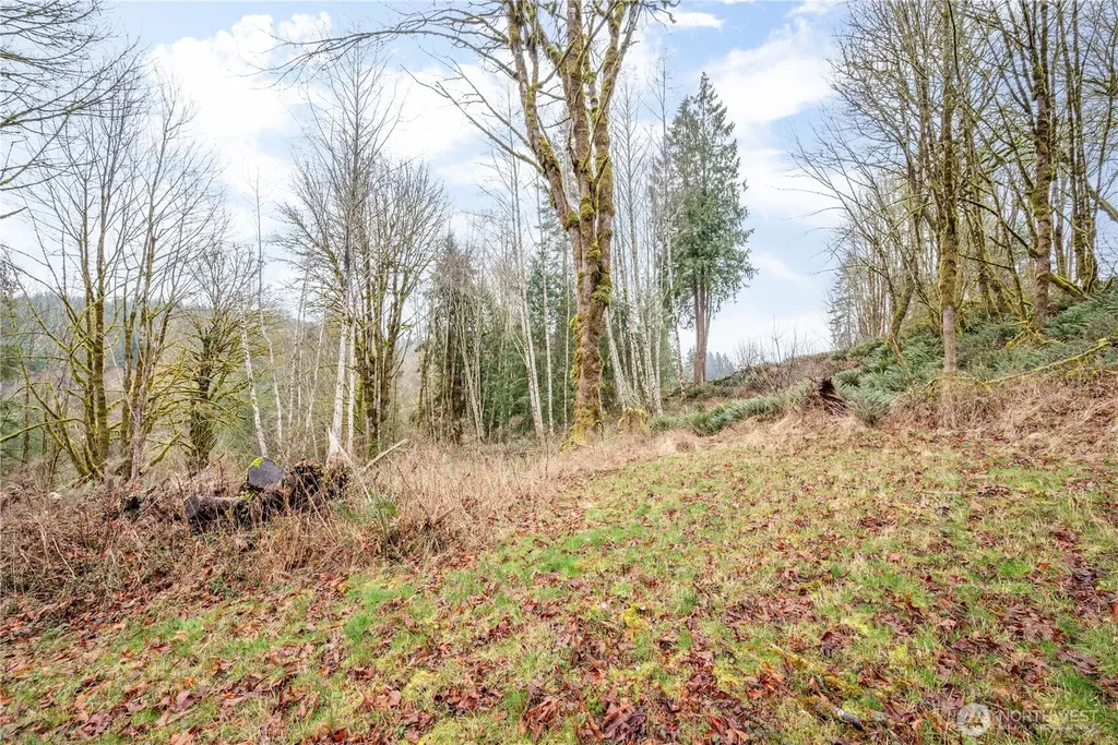 364 Channel View Lane Longview WA 98632