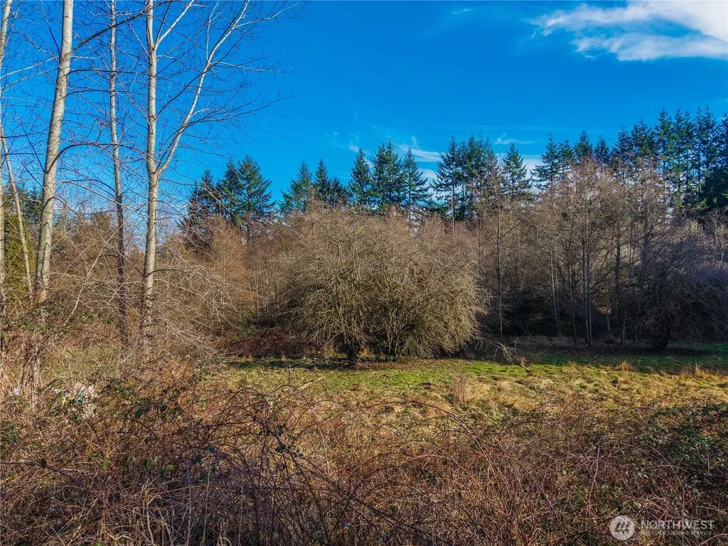 10330 56th St SE Snohomish WA 98290