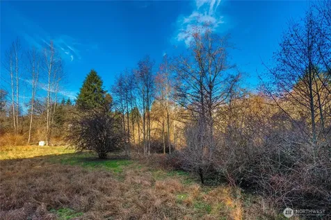 10330 56th St SE Snohomish WA 98290
