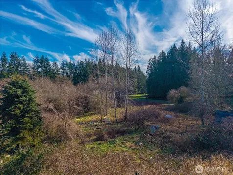 10330 56th St SE Snohomish WA 98290