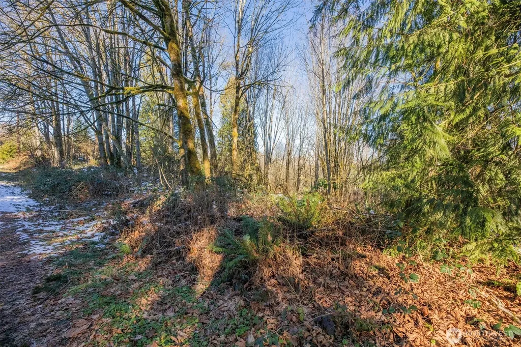 218 E Lost Lake Road Snohomish WA 98296