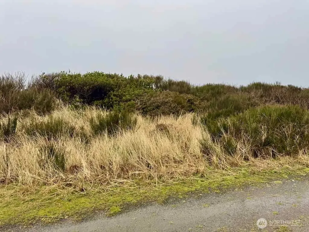 0 Dune Crest Drive Westport WA 98595