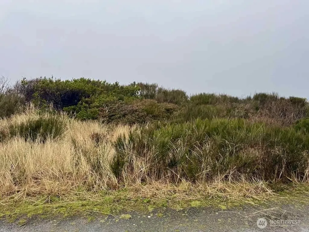 0 Dune Crest Drive Westport WA 98595