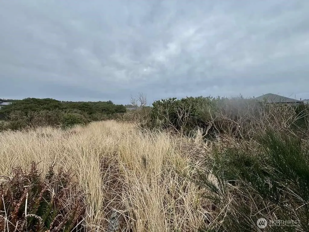 0 Dune Crest Drive Westport WA 98595