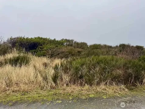 0 Dune Crest Drive Westport WA 98595
