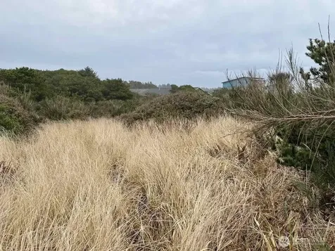 0 Dune Crest Drive Westport WA 98595