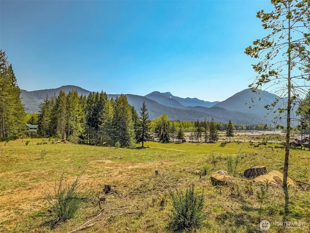 0 Craig Road Packwood WA 98361